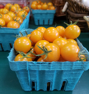 Tomato - Grape Orange (LOCAL)